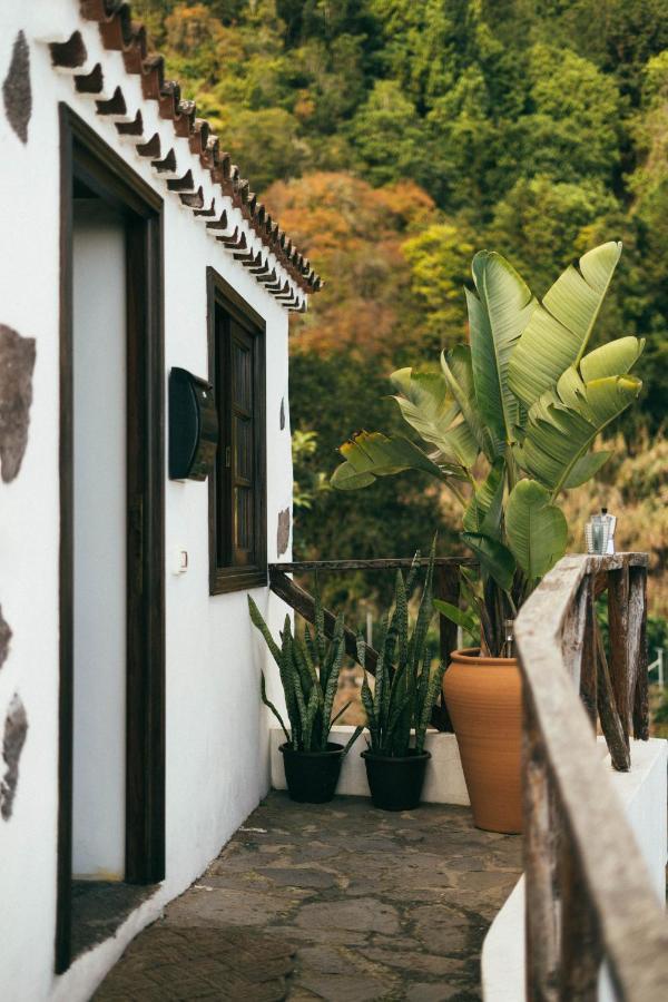 Las Casitas Del Bebedero - Yoga & Ecoturismo Icod De Los Vinos Exteriér fotografie