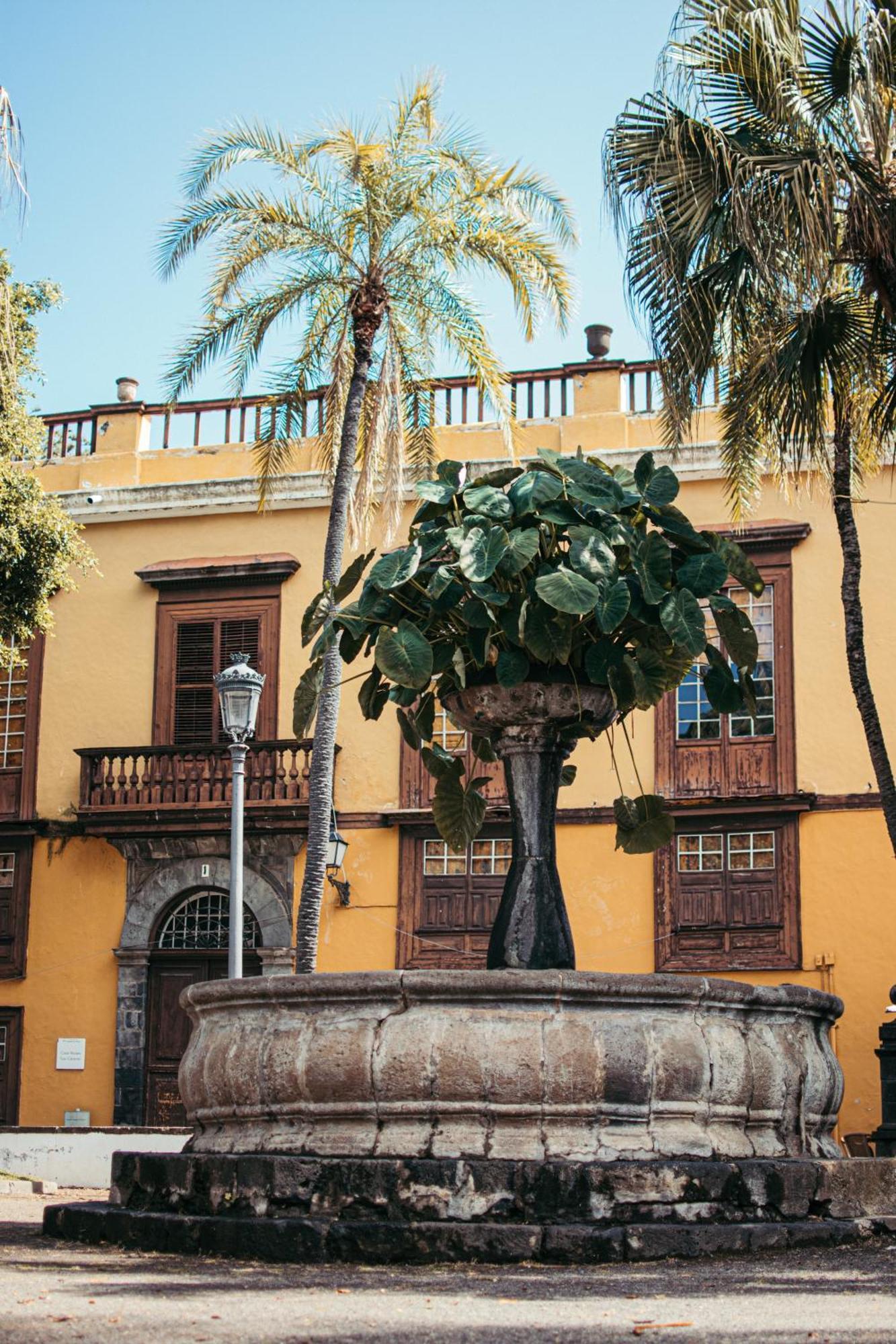 Las Casitas Del Bebedero - Yoga & Ecoturismo Icod De Los Vinos Exteriér fotografie